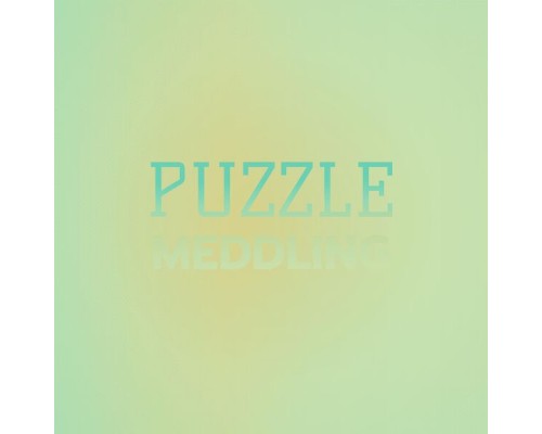 Various Artists - Puzzle Meddling