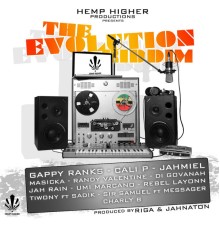 Various Artists - The Evolution Riddim