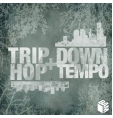 Various Artists - Trip-Hop + Downtempo