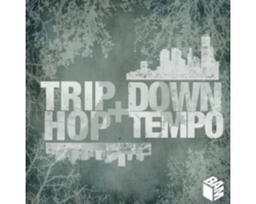 Various Artists - Trip-Hop + Downtempo