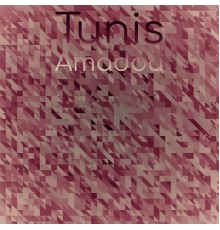 Various Artists - Tunis Amadou