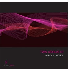 Various Artists - Twin Worlds