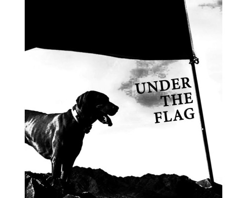 Various Artists - Under the Flag