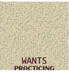 Various Artists - Wants Practicing