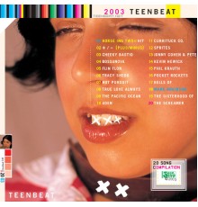 Various Artists - 2003 Teenbeat Sampler