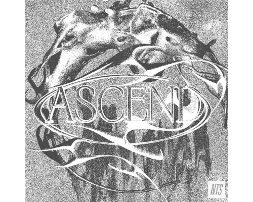 Various Artists - ASCEND