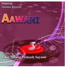 Various Artists - Aawani