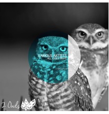 Various Artists - All Owls Eight