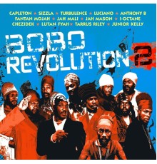 Various Artists - Bobo Revolution 2