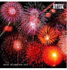 Various Artists - Brisk Celebration 2015