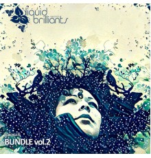 Various Artists - Bundle, Vol. 2