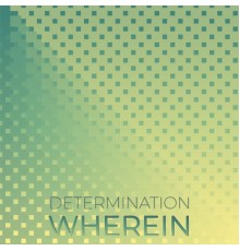 Various Artists - Determination Wherein