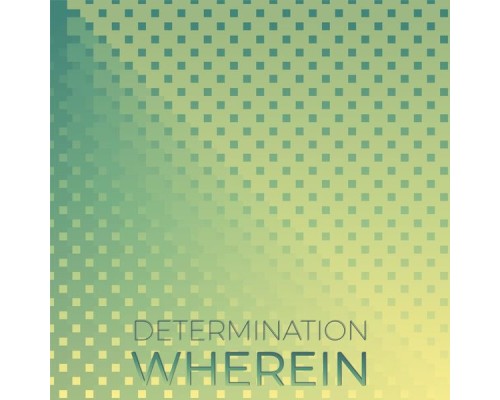 Various Artists - Determination Wherein