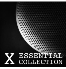 Various Artists - Essential Collection X