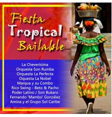 Various Artists - Fiesta Tropical Bailable