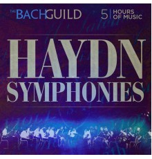 Various Artists - Haydn Symphonies