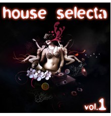 Various Artists - House Selecta Vol.1