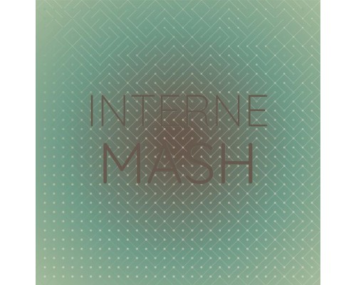 Various Artists - Interne Mash