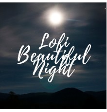 Various Artists - Lofi Beautiful Night