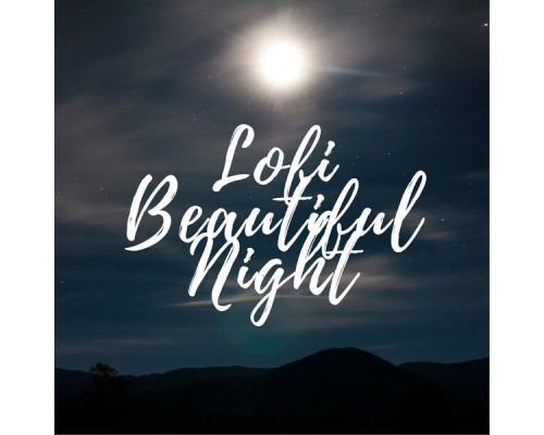 Various Artists - Lofi Beautiful Night