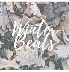 Various Artists - Lofi Winter Beats