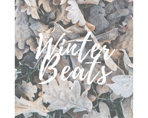 Various Artists - Lofi Winter Beats