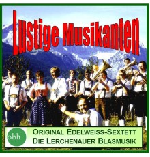 Various Artists - Lustige Musikanten