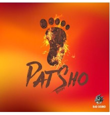 Various Artists - Pat Sho Riddim