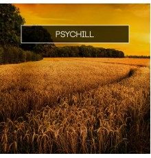 Various Artists - Psychill