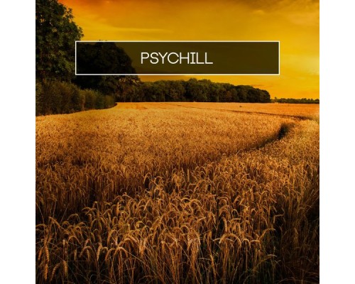 Various Artists - Psychill