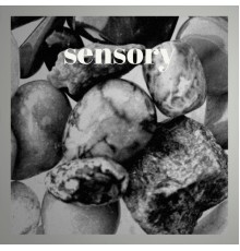 Various Artists - Sensory