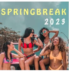 Various Artists - Springbreak 2023