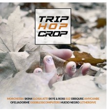 Various Artists - TRIP HOP CROP