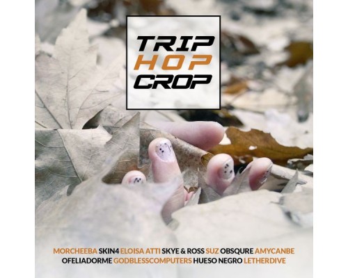 Various Artists - TRIP HOP CROP