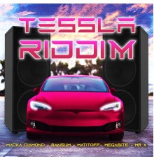 Various Artists - Tessla Riddim