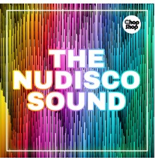 Various Artists - The Nudisco Sound
