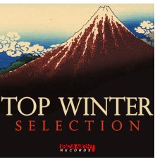 Various Artists - Top Winter Selection