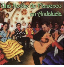 Various Artists - Una Noche de Flamenco en Andalucia