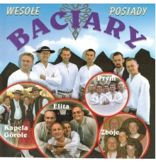 Various Artists - Wesołe Posiady