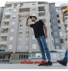 Various Artists - Whoa Mule