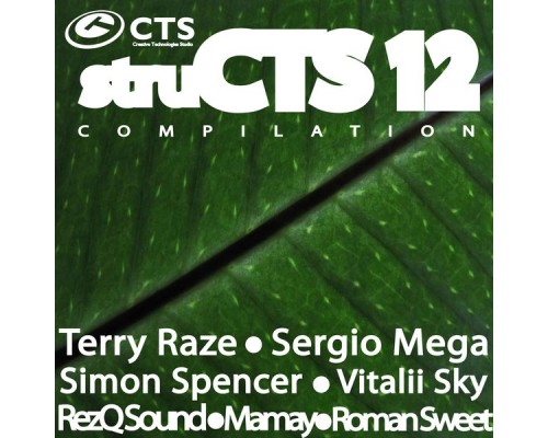 Various Artists - struCTS, Vol. 12