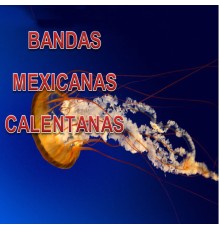 Various Artists - Bandas Mexicanas Calentanas