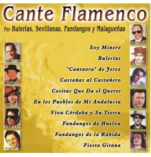 Various Artists - Cante Flamenco por Bulerias, Sevillanas, Fandangos y Malagueñas