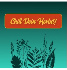 Various Artists - Chill dein Herbst!