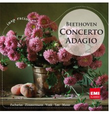 Various Artists - Concerto Adagio Beethoven