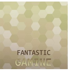 Various Artists - Fantastic Gamine