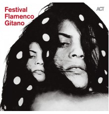 Various Artists - Festival Flamenco Gitano