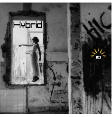 Various Artists - Hybrid