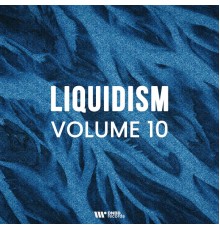 Various Artists - Liquidism, Vol. 10