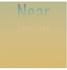 Various Artists - Near Twitterer